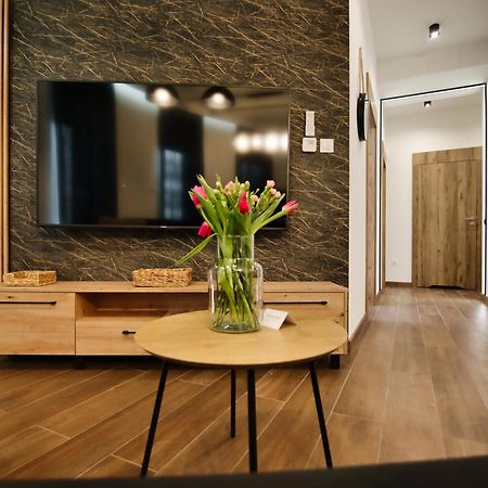 Apartamenty Laguna Beskidow - A2 Zarzecze  Buitenkant foto
